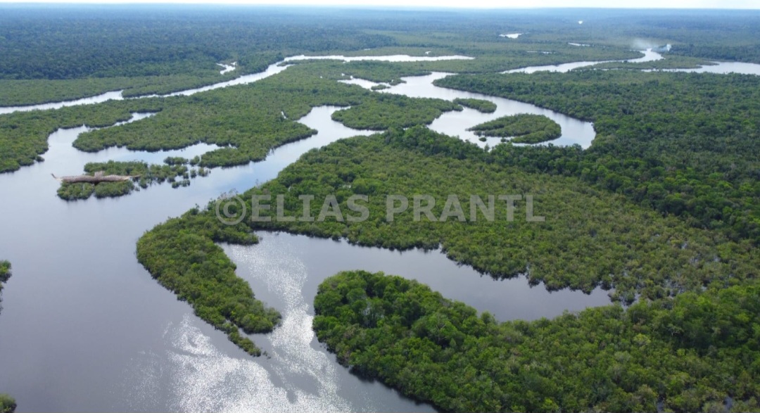 Passeio guiado pela Ney Eco Adventures